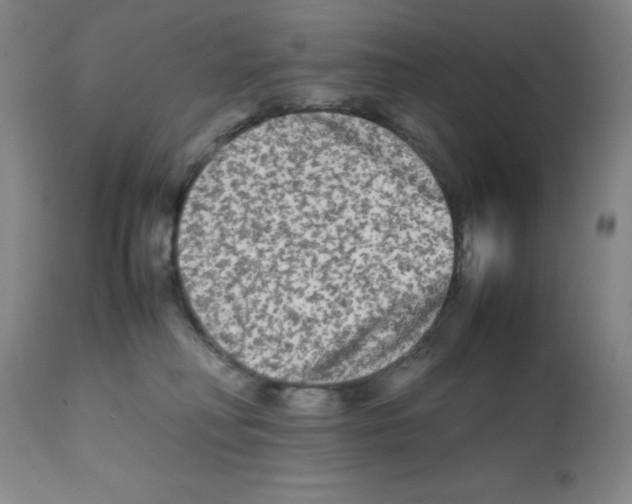 X0000112070230200909151056