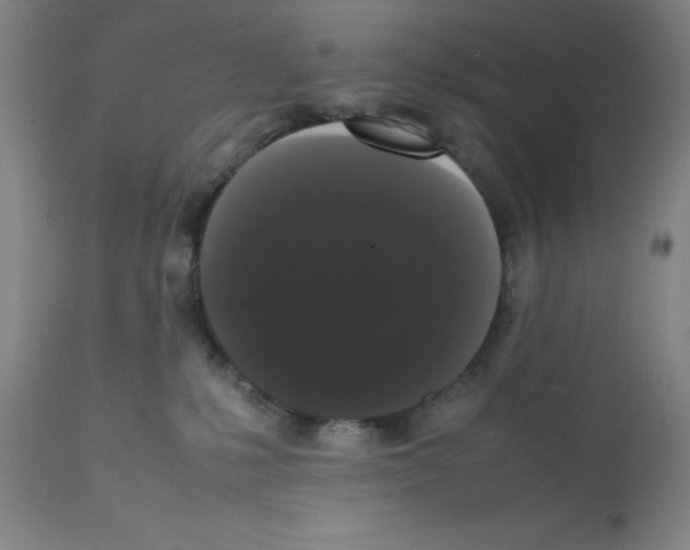 X0000112070231200909151056