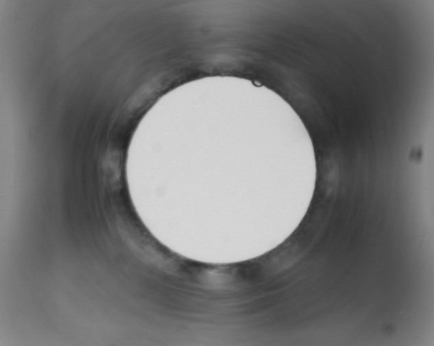 X0000112070232200909151056