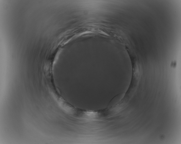 X0000112070233200909151056