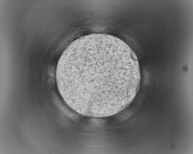 X0000112070234200909151056