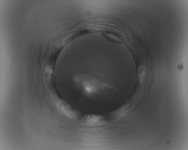 X0000112070235200909151055