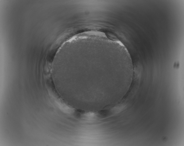 X0000112070237200909151055