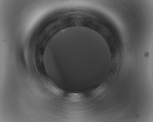 X0000112070239200909151055