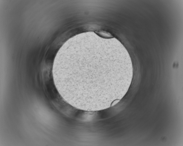 X0000112070240200909151055