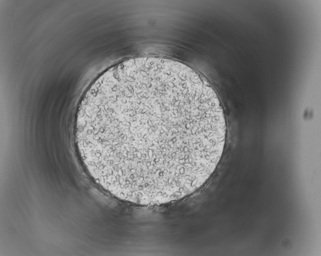 X0000112070241200909151055