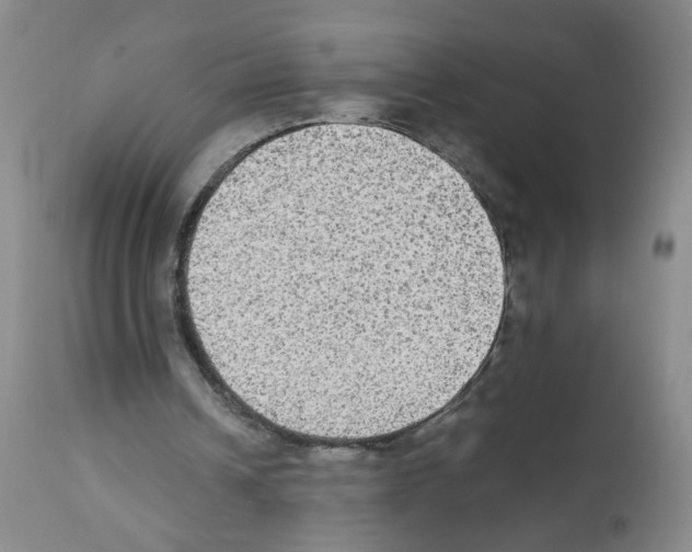 X0000112070242200909151055