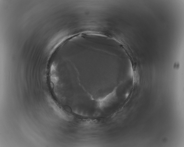 X0000112070243200909151055