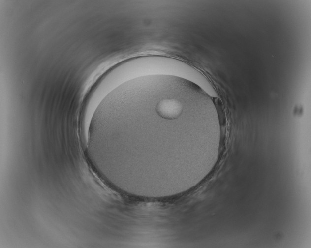X0000112070244200909151055