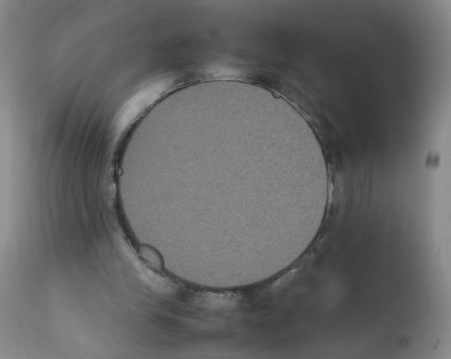 X0000112070245200909151055