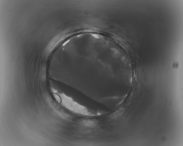 X0000112070247200909151055