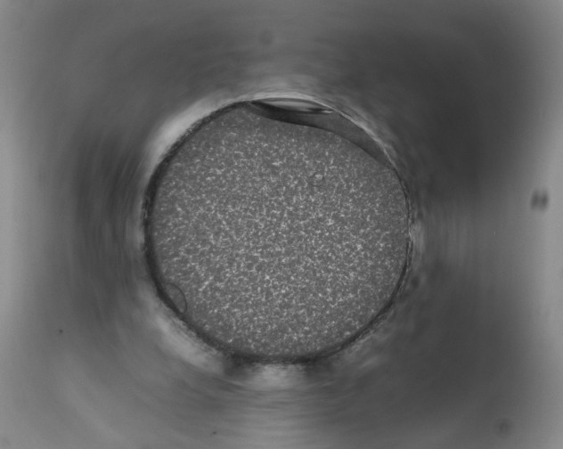 X0000112070248200909151055