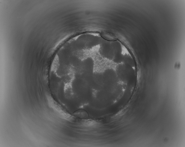 X0000112070249200909151055