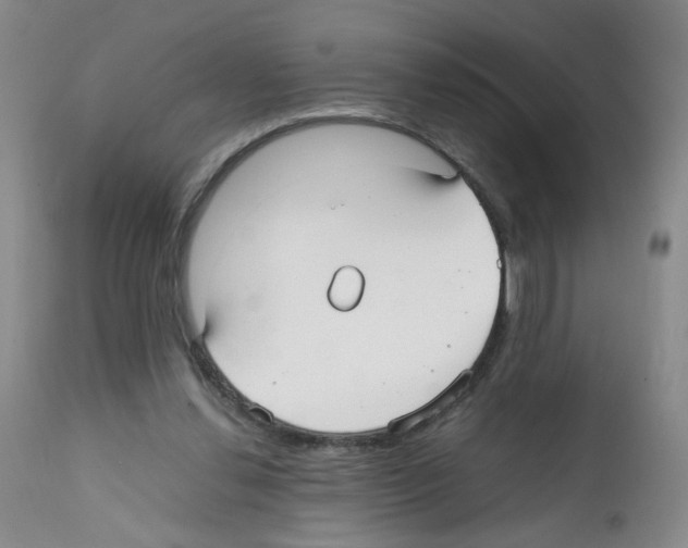 X0000112070252200909151055