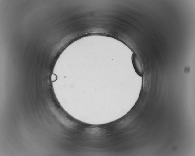 X0000112070253200909151055