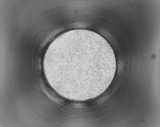 X0000112070254200909151055