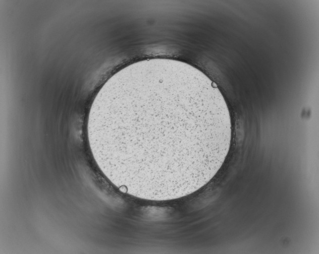 X0000112070255200909151055