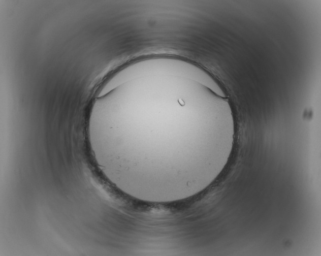 X0000112070256200909151055