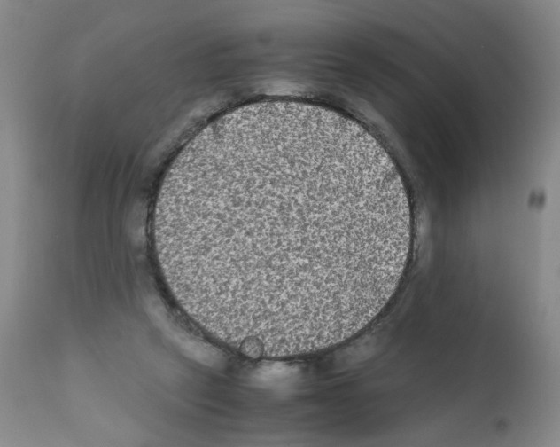 X0000112070257200909151055