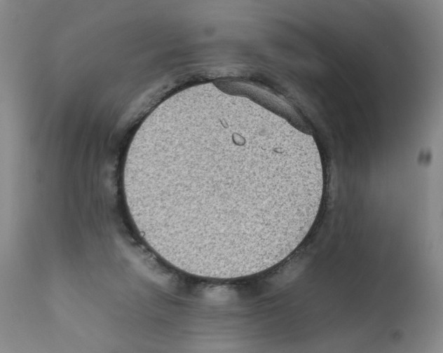X0000112070258200909151055
