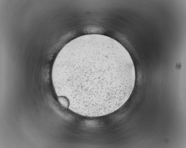 X0000112070259200909151055