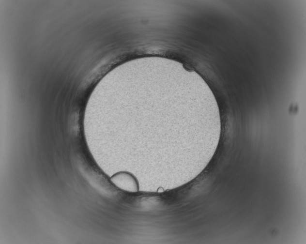 X0000112070262200909151055