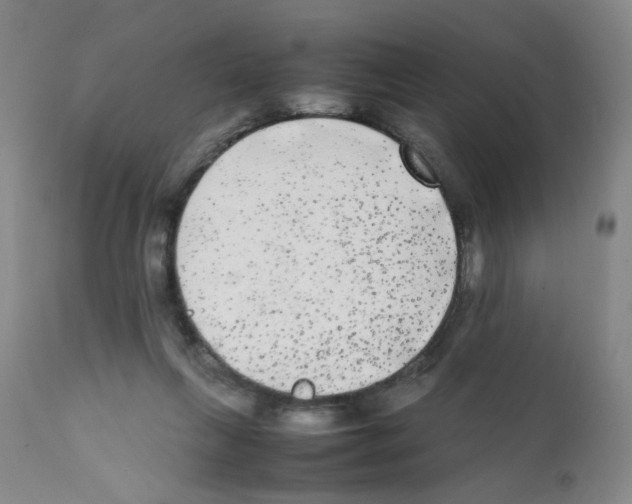X0000112070263200909151055