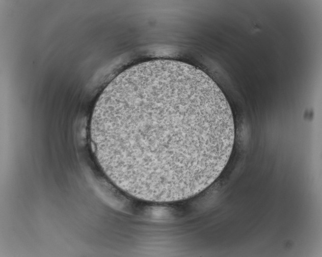 X0000112070264200909151055