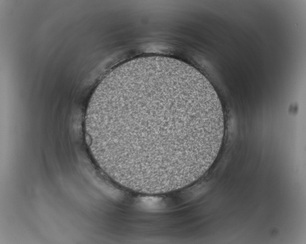 X0000112070265200909151055