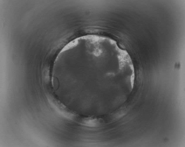 X0000112070267200909151055