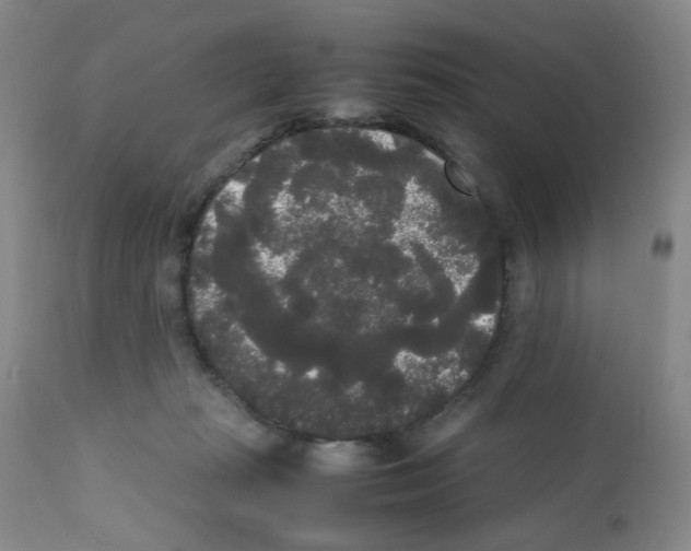 X0000112070269200909151055