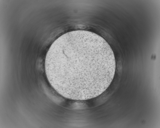 X0000112070270200909151055