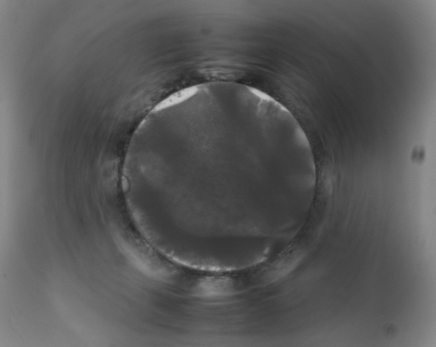 X0000112070271200909151055