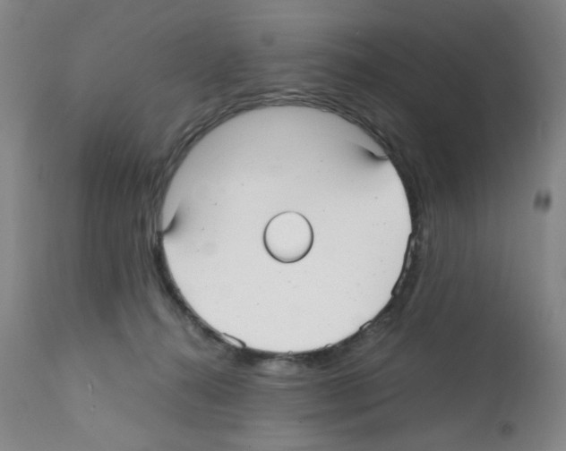 X0000112070272200909151055