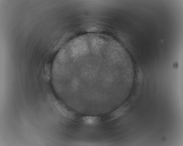 X0000112070273200909151055