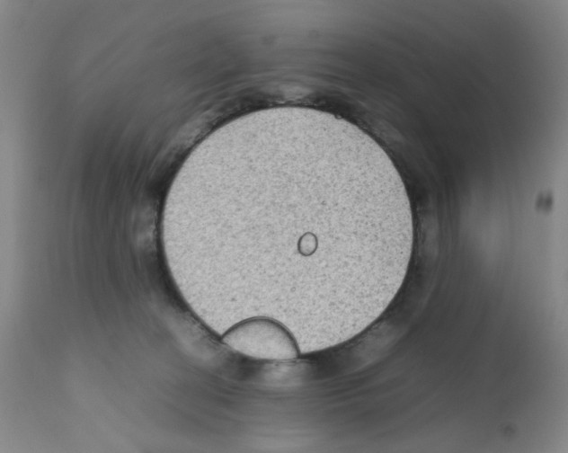 X0000112070274200909151055