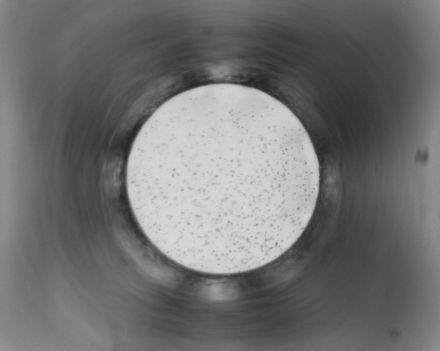 X0000112070275200909151055