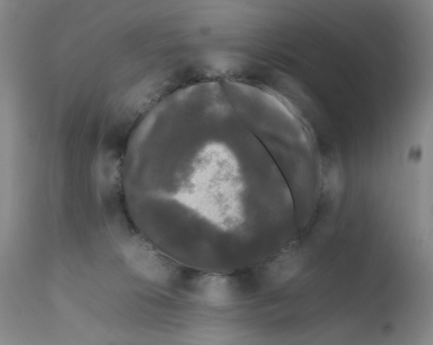 X0000112070276200909151055