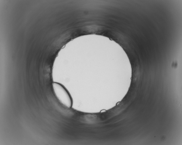 X0000112070279200909151055