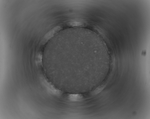 X0000112070281200909151055