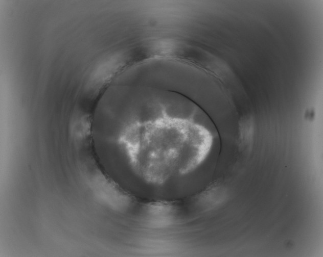 X0000112070284200909151055
