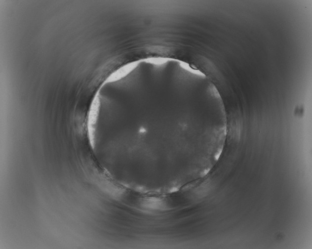 X0000112070285200909151055