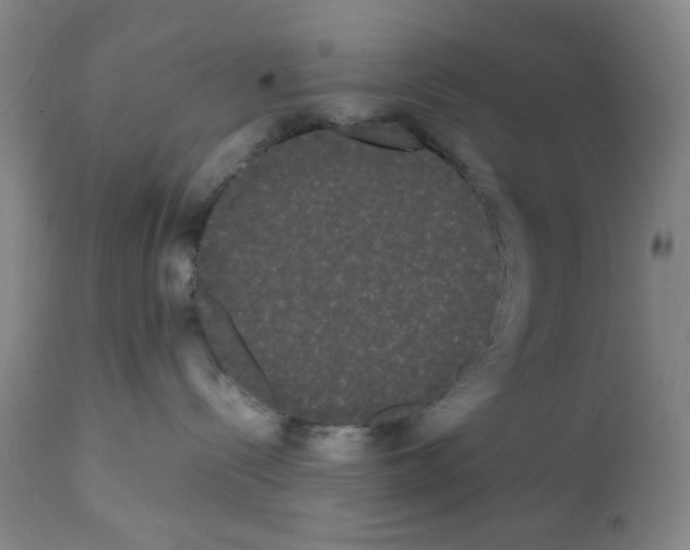 X0000112070288200909151055