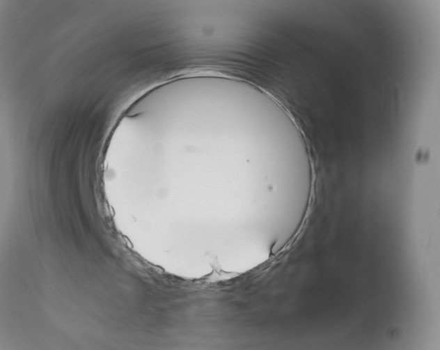 X0000112070289200909151055