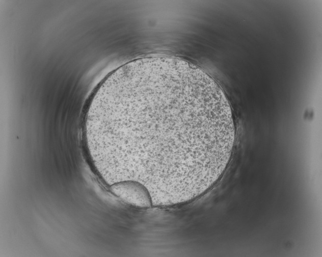 X0000112070290200909151055
