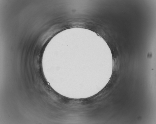 X0000112070291200909151055