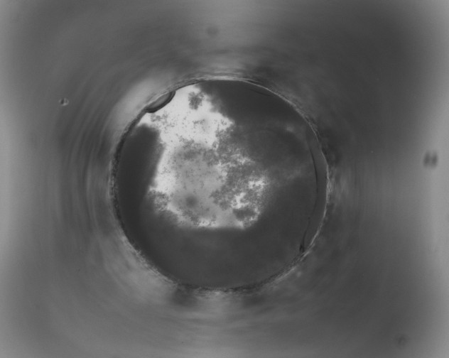 X0000112070293200909151055