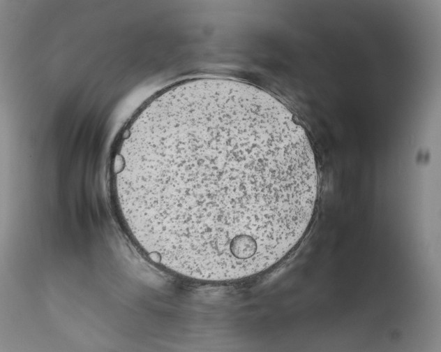 X0000112070294200909151055