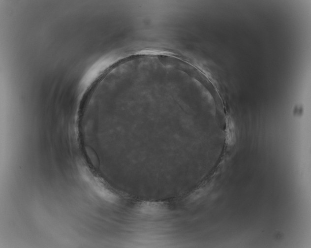 X0000112070296200909151055