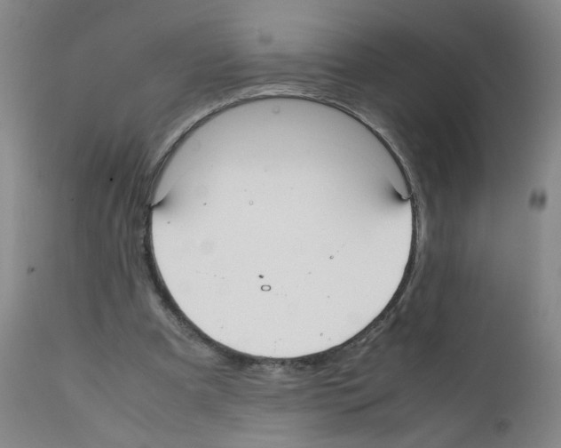 X0000112070297200909151055